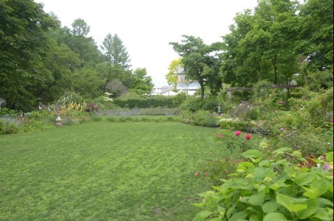 d170625.jpg
