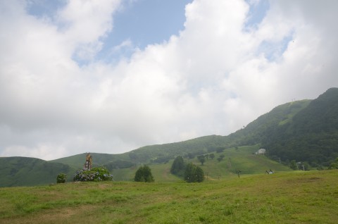 d170731.jpg