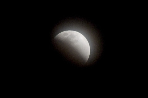 d180131.jpg