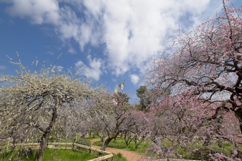 d180318a.jpg