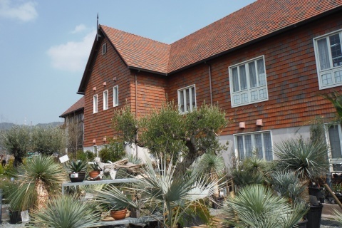 d180325.jpg
