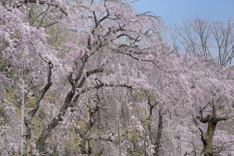 d180401.jpg