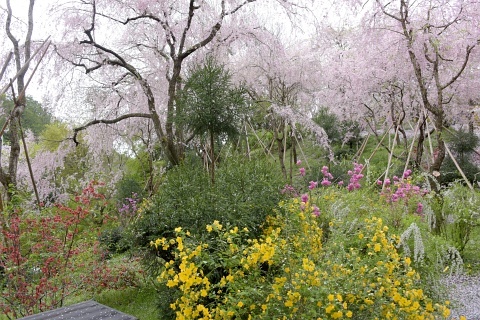 d180407a.jpg