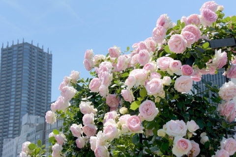 d180512a.jpg