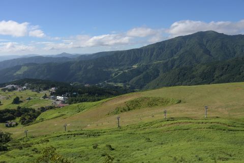 d180731.jpg