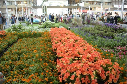 d180929.jpg