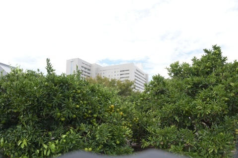 d181005.jpg
