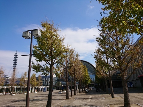 d181027.jpg
