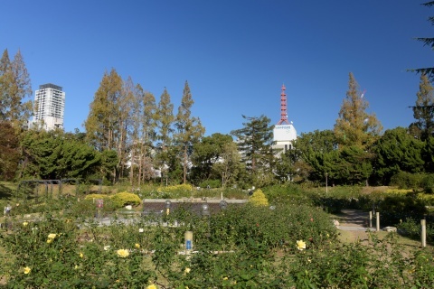 d181110b.jpg