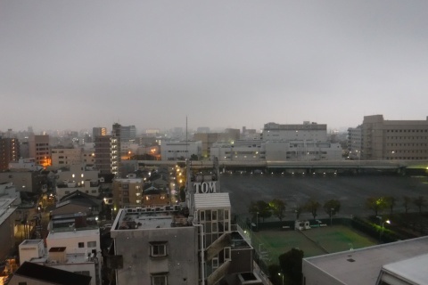 d190220.jpg