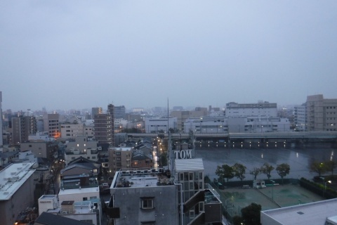 d190228.jpg