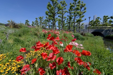 d190505.jpg