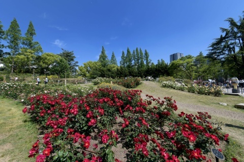 d190511.jpg