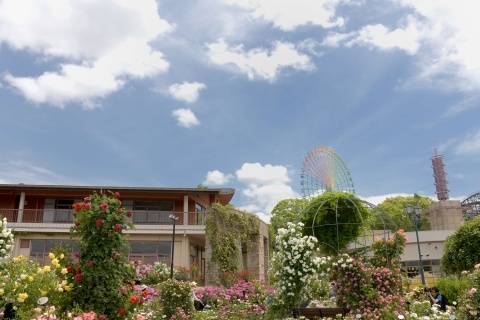 d190519.jpg