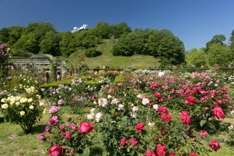 d190525.jpg