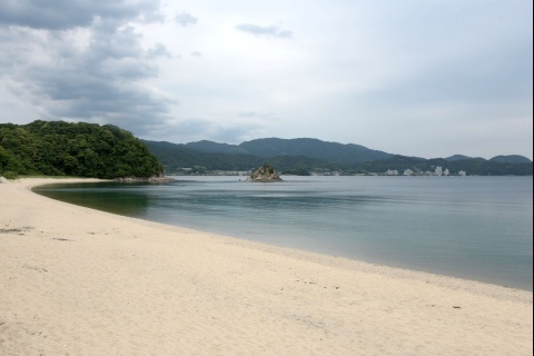 d190531.jpg