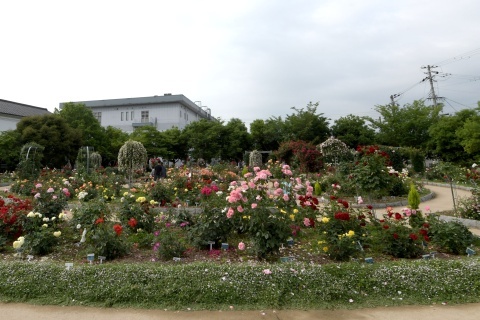 d190609b.jpg
