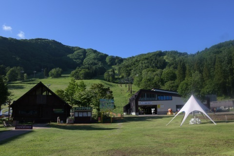 d190613.jpg