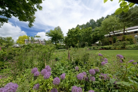 d190617.jpg
