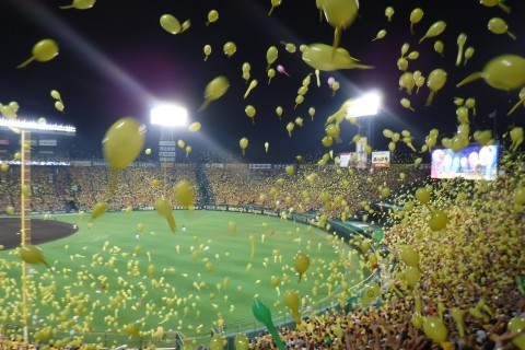 d190801.jpg