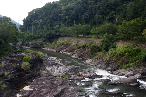 d190818b.jpg