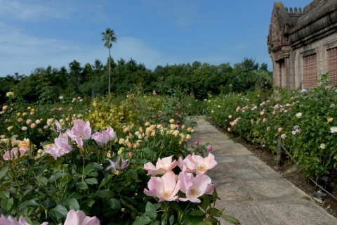 d191014a.jpg