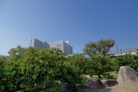 d191101.jpg