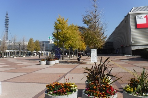 d191116.jpg
