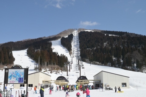 d200224.jpg