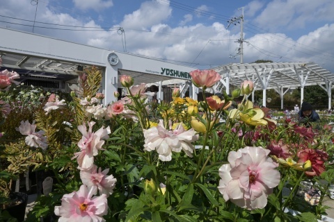 d200315.jpg
