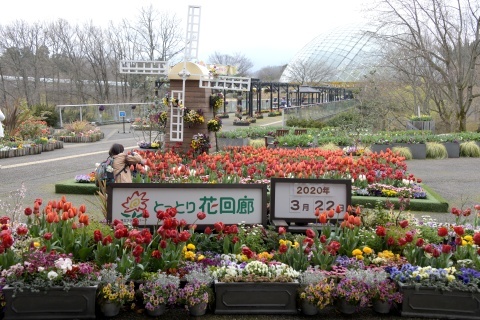 d200322.jpg
