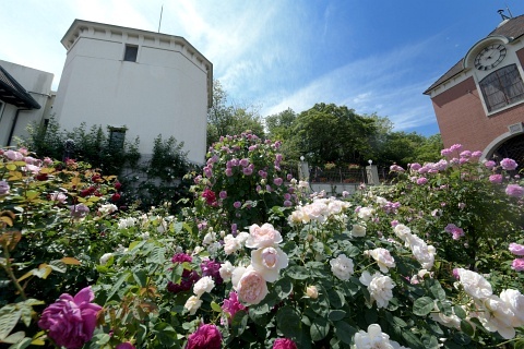 d200530.jpg