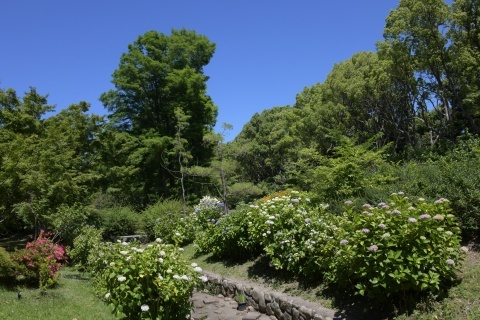 d200607.jpg