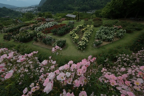 d200618.jpg