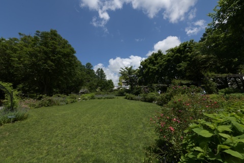 d200621.jpg