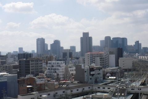 d200801.jpg