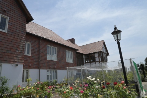 d200809.jpg